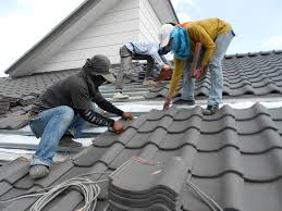 Best Steel Roofing  in Martinsburg, WV